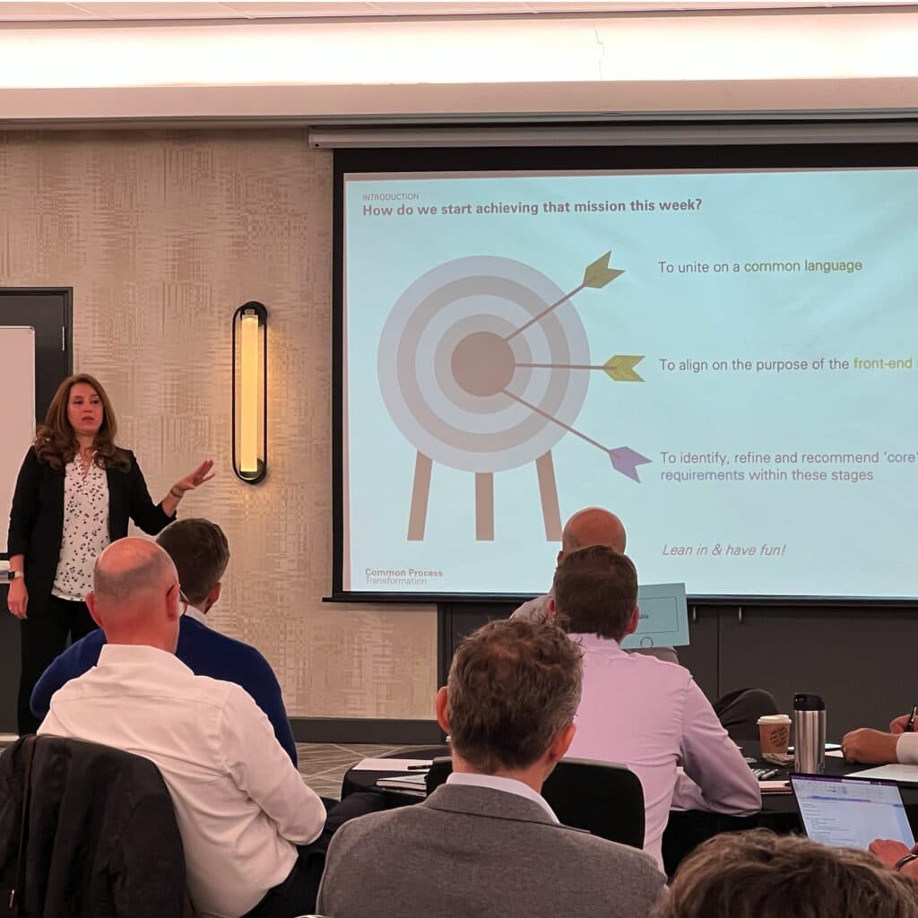 Performance management and role clarity within the HOBA transformation governance model.