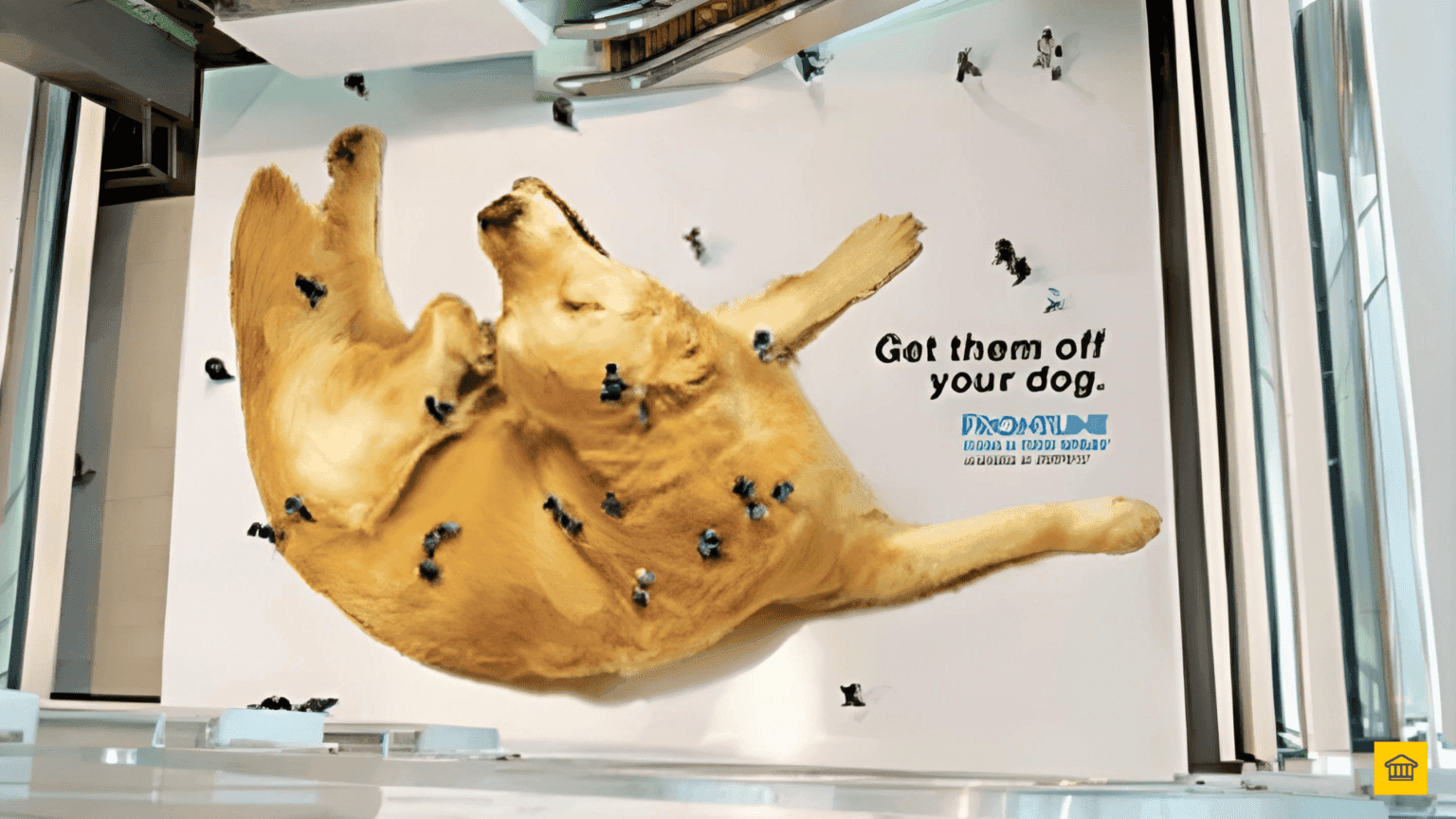 Organisation Transformation: 5 Do’s & Don’ts!