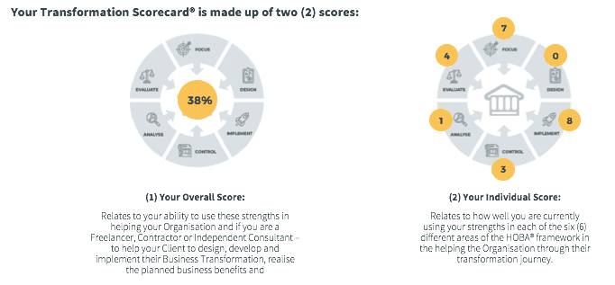 What Is The Role of The Business Transformator? What Is The Role of The Business Transformator?